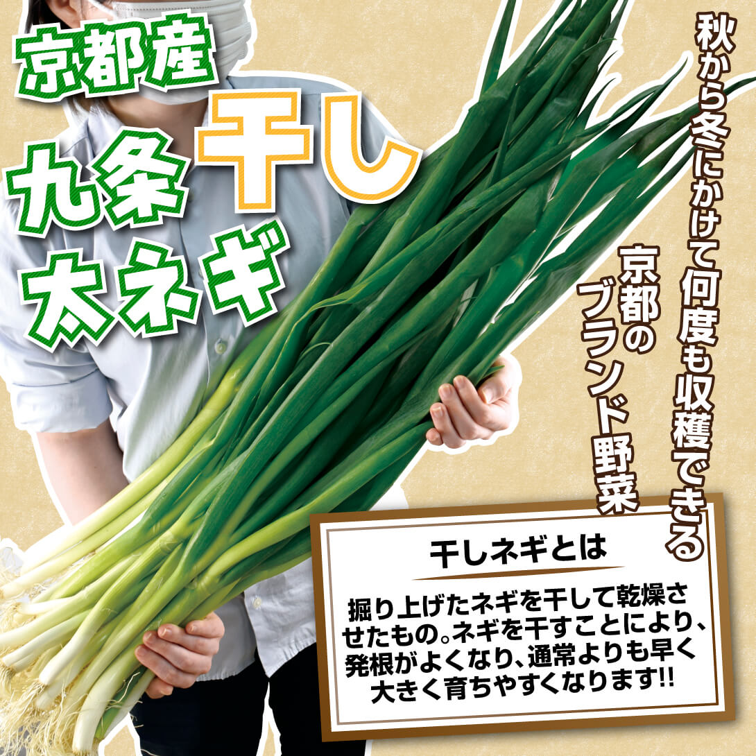 九条太ネギ 干しネギ
