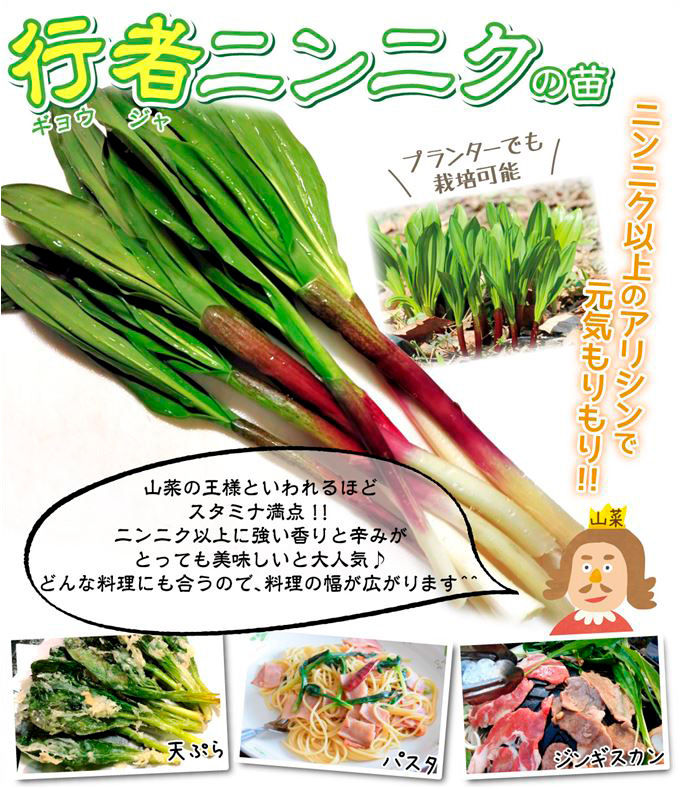 行者ニンニク