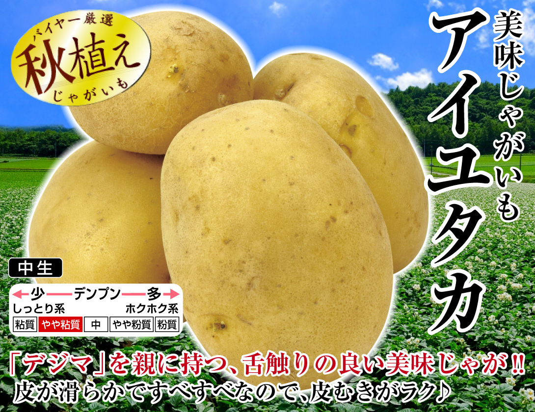 さんじゅう丸