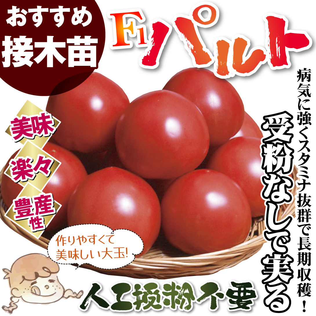 パルト