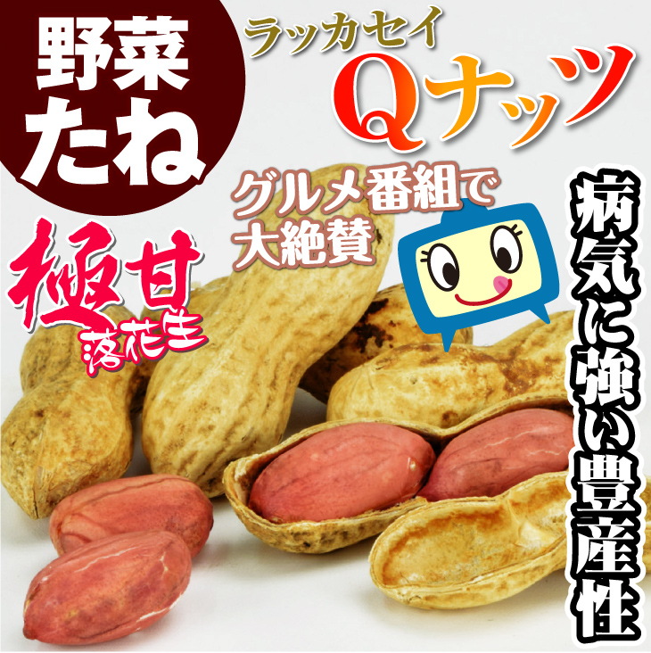 Qナッツ