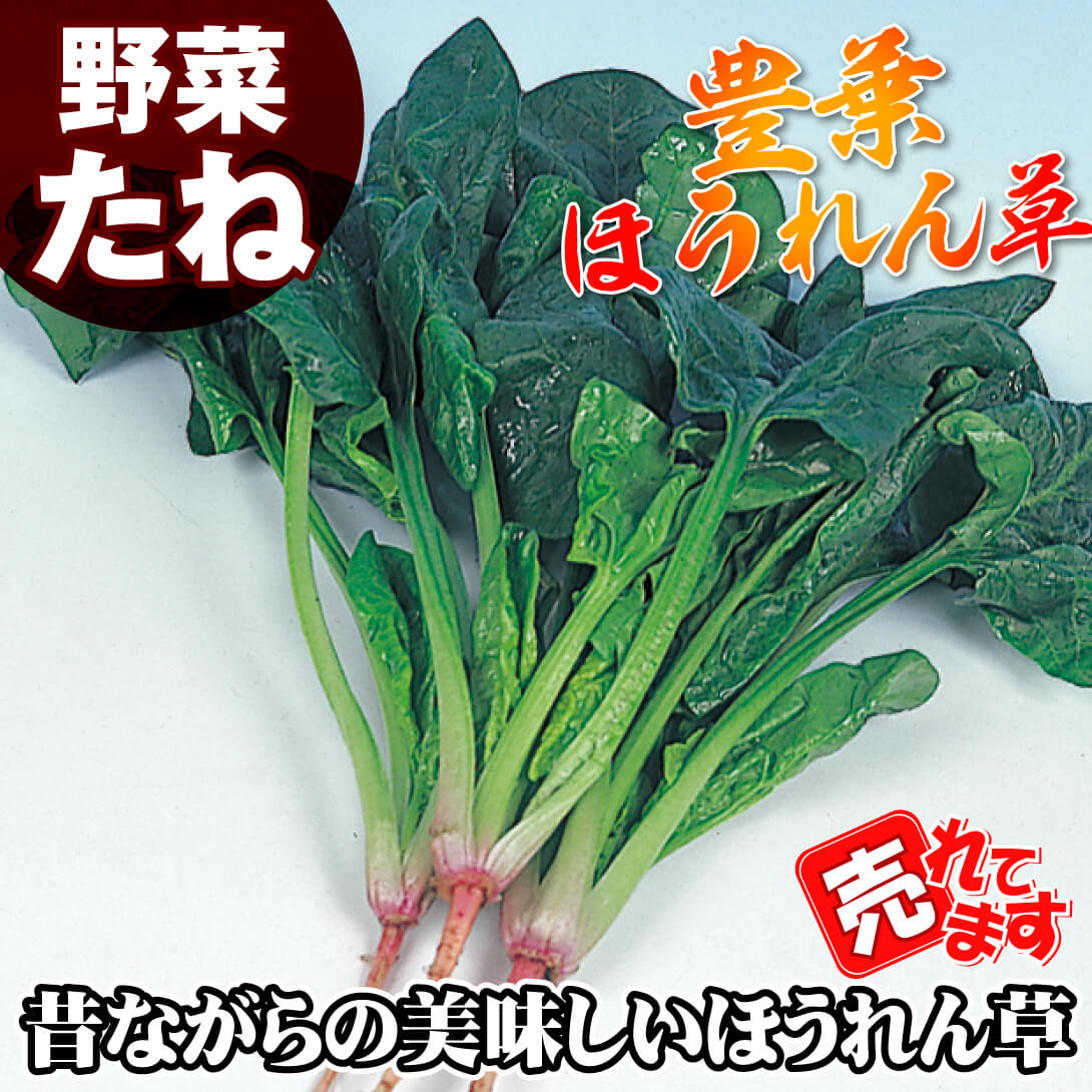 豊葉ほうれん草