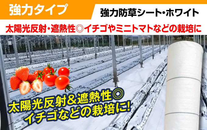 強力防草シートホワイト・メイン
