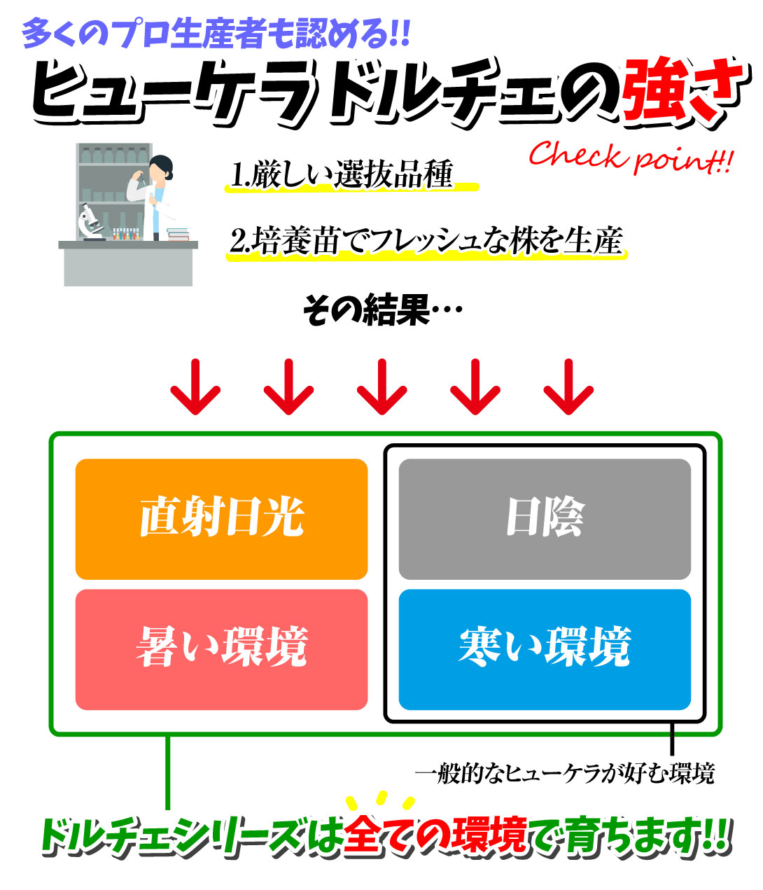 花苗 ヒューケラ ドルチェ人気セット