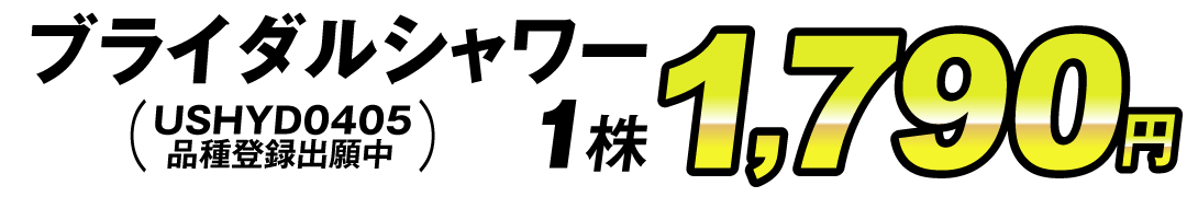 ブライダルシャワー価格1株1790円