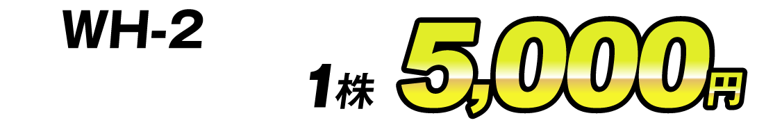 価格5000円