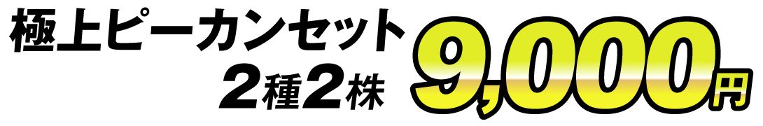 価格9000円