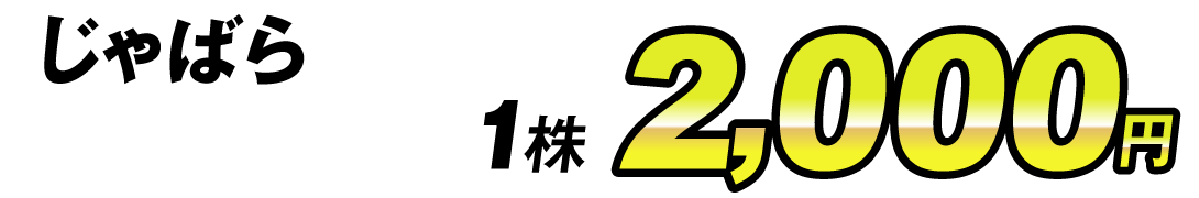 価格2000円