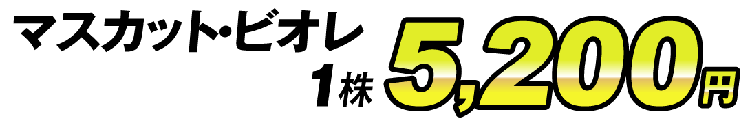 天狼値段5200円