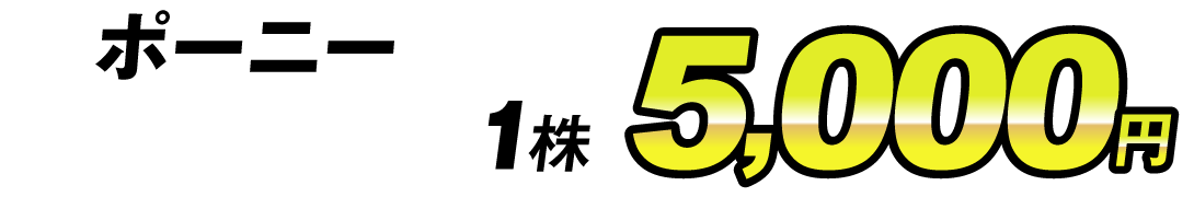 価格5000円