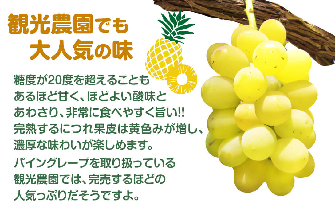 パイングレープ
