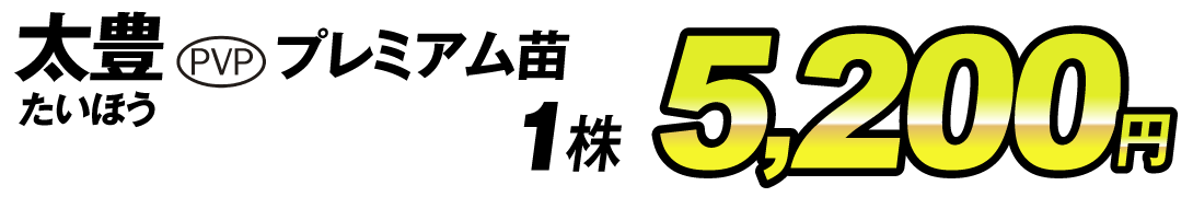 太豊プレミアム苗値段5200円