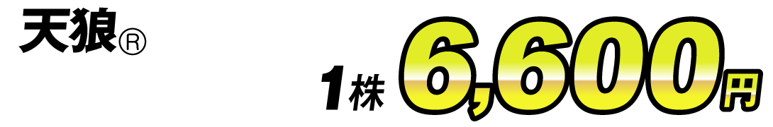 天狼値段6600円