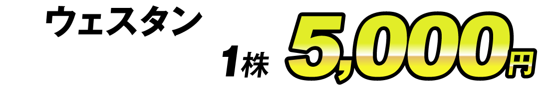価格5000円