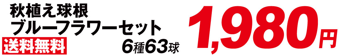ブルーフラワーセット価格