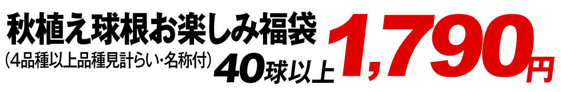 1790円