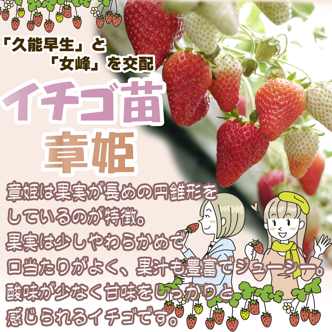 章姫