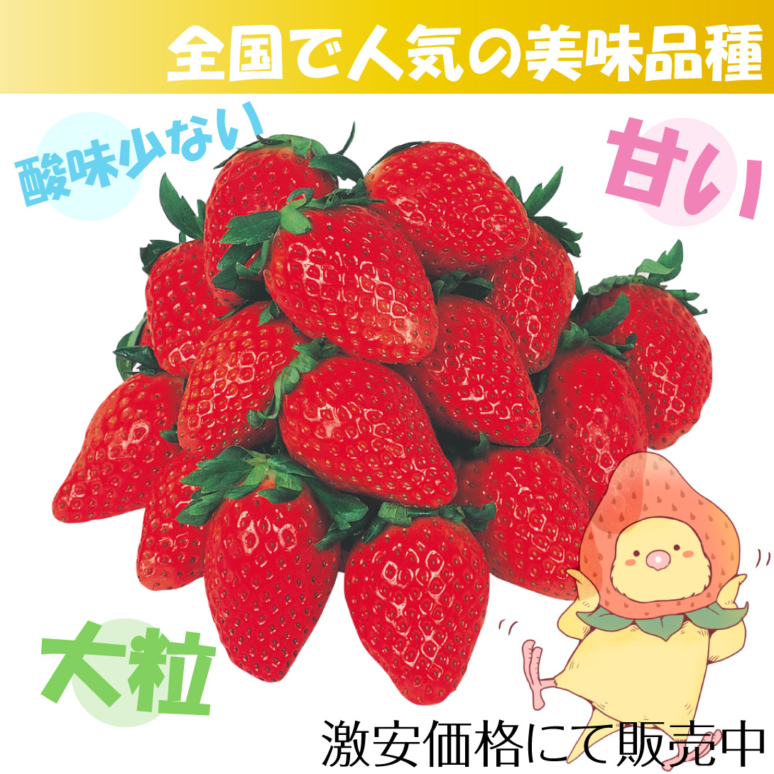 章姫