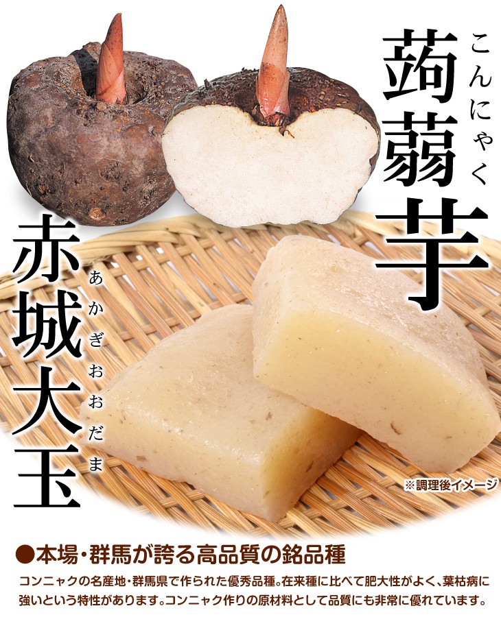 赤城大玉(2年生)