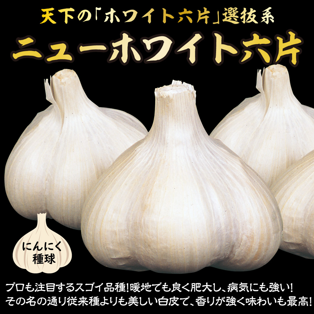 博多八片ニンニク