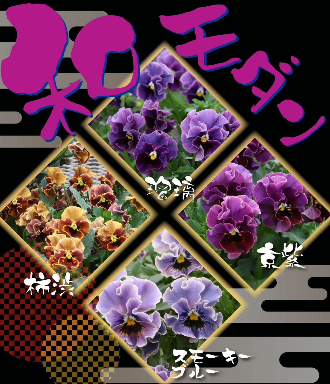 ビオラ 和モダンクラシックカラーセット