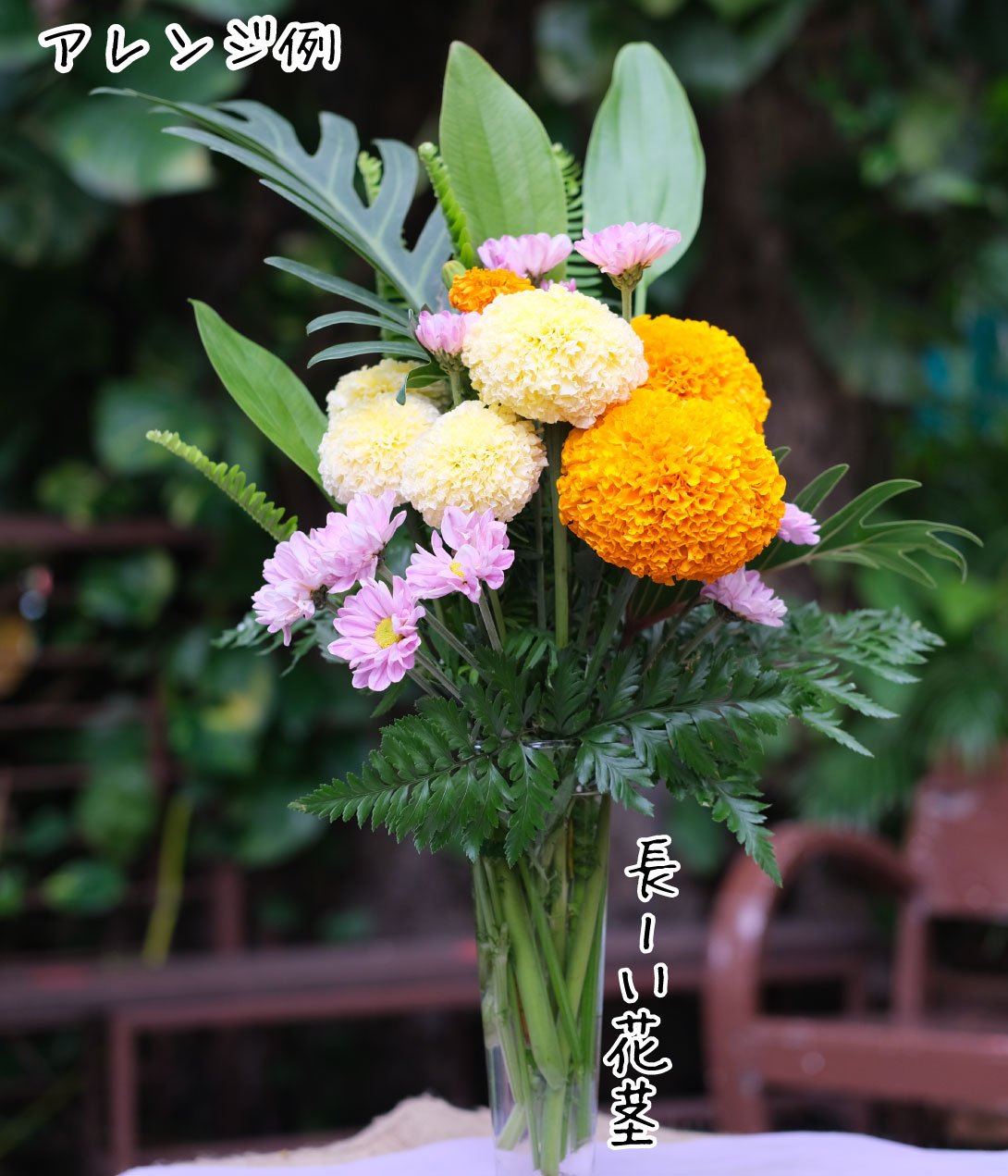 花種 マリーゴールド ホワイトスワン
