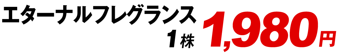 四季咲き沈丁花エターナルフレグランス値段1980