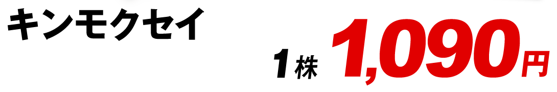 キンモクセイ値段1090