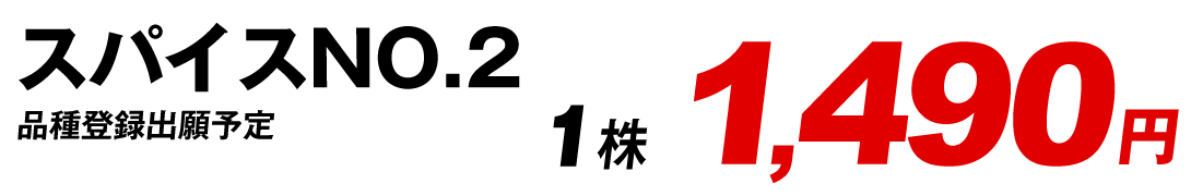 スパイスNO.2値段1490
