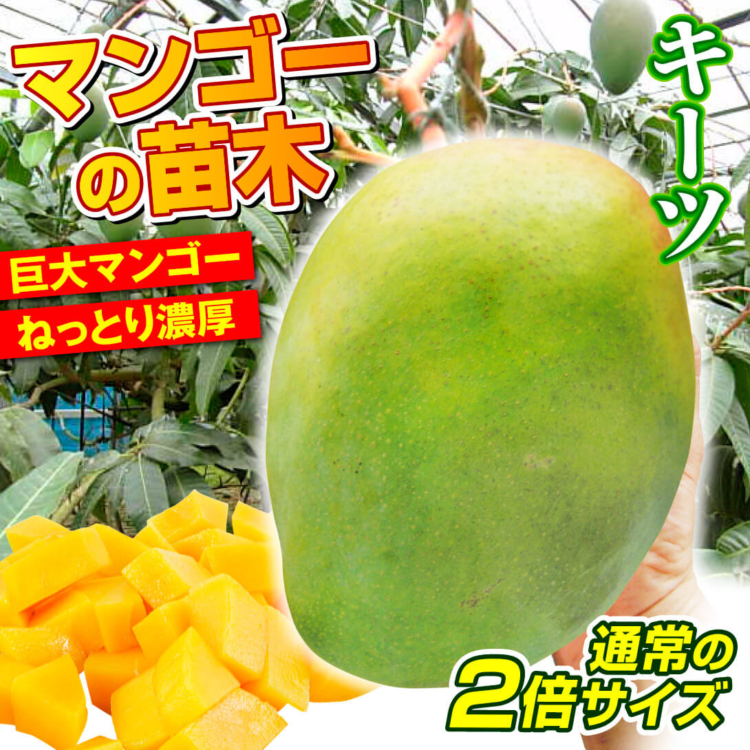 キーツマンゴー