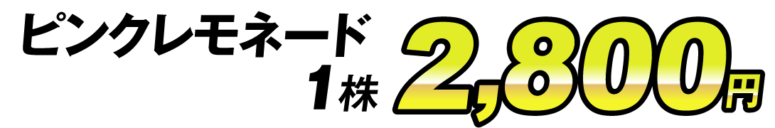 価格2800円
