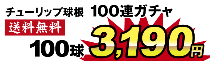5色ミックス価格3490円