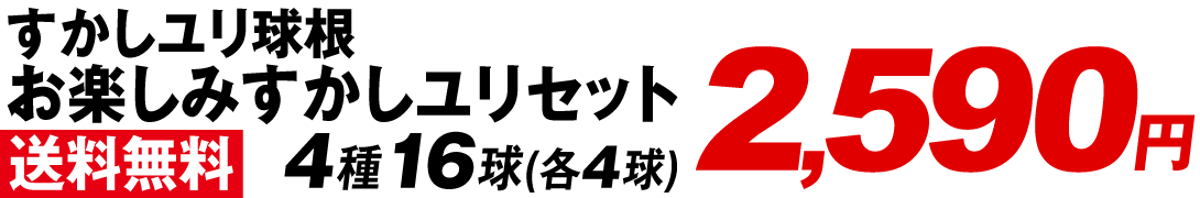 お楽しみすかしユリセット 送料無料価格2590円
