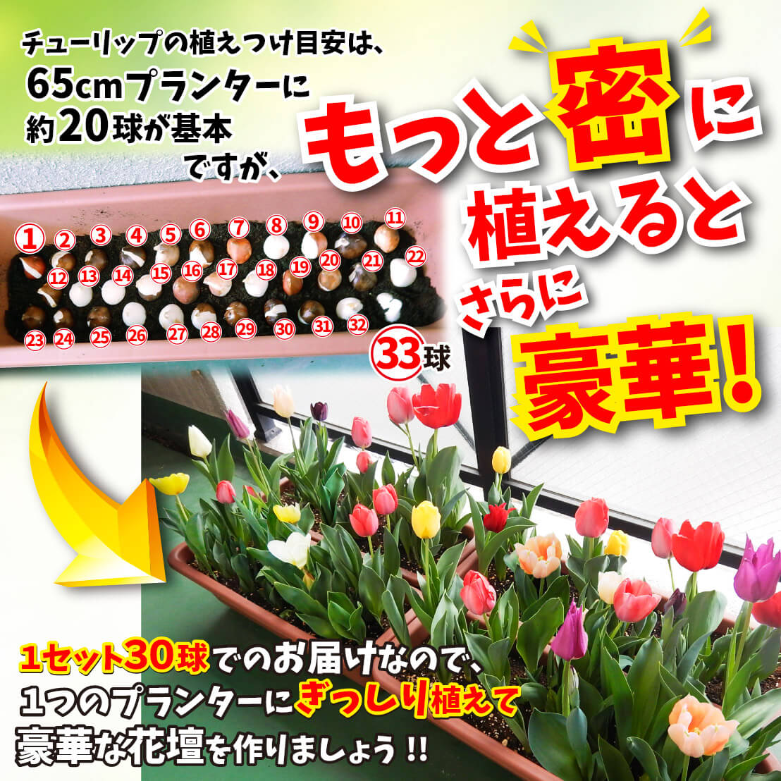 ハッピー福袋01