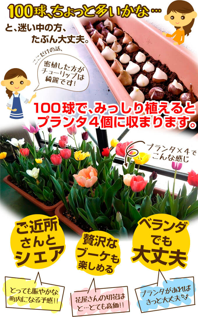 プランター