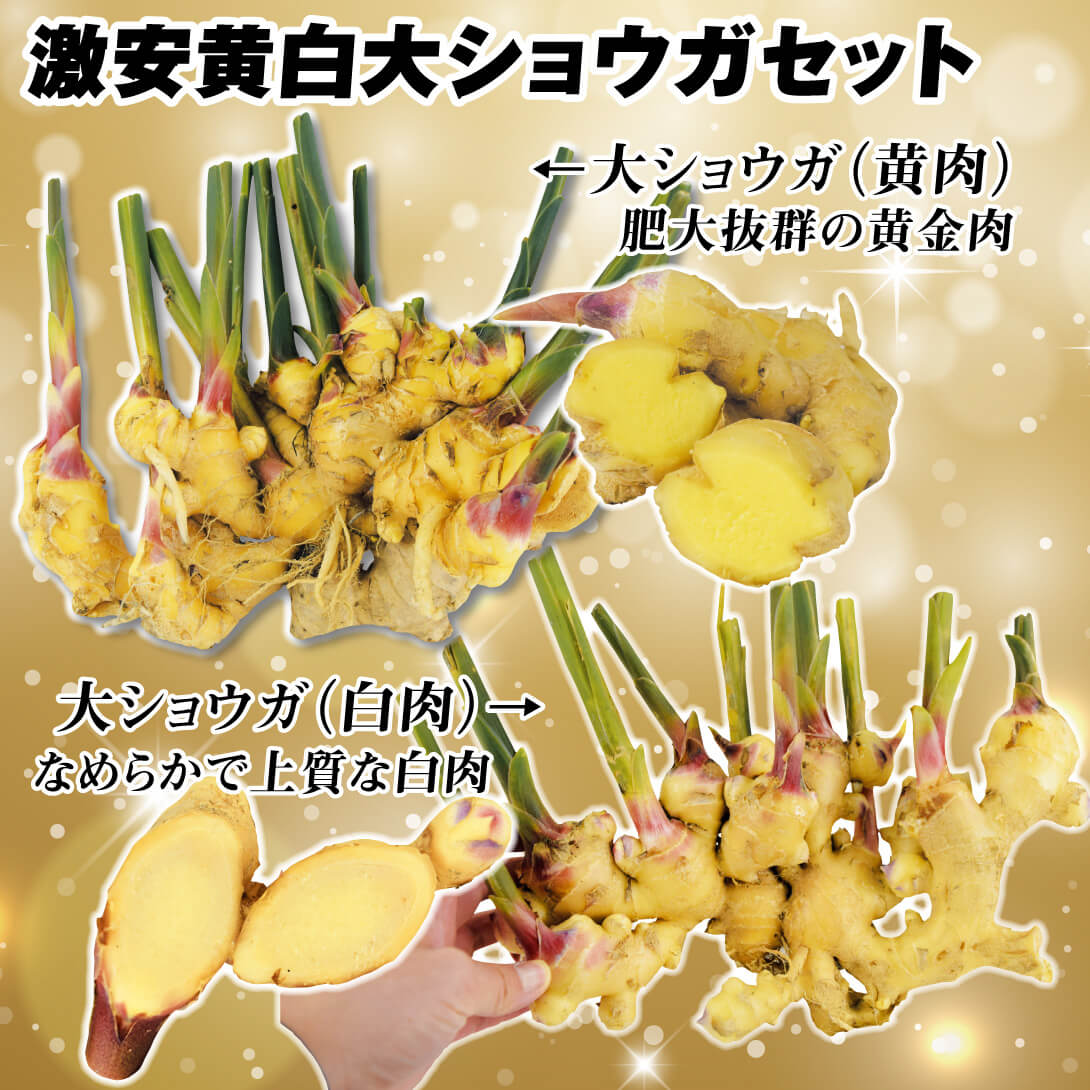 gekiyasukishirodaisyougasetto.jpg