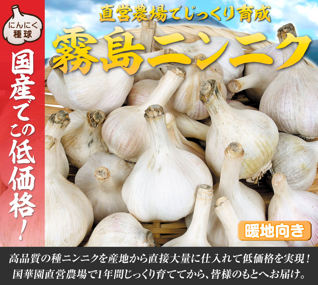 霧島ニンニク