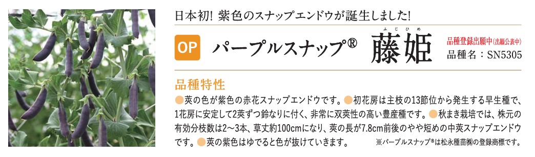 藤姫・カタログ