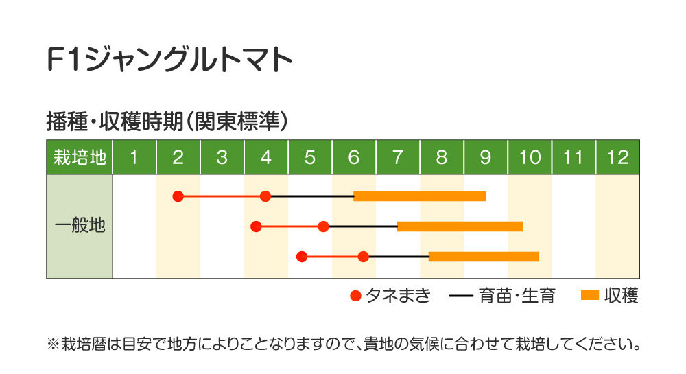 ジャングルトマト・作型