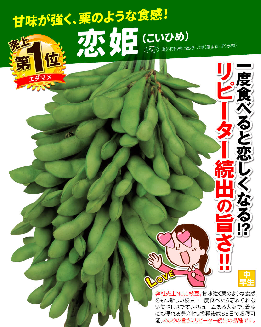 恋姫PVP・メイン