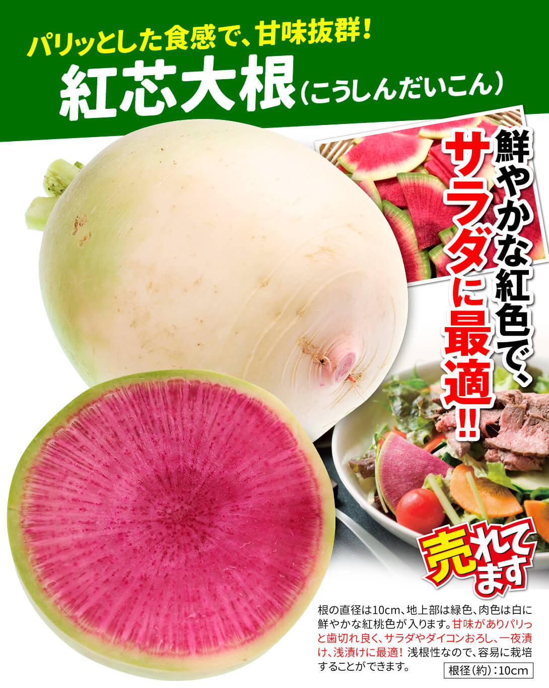 紅芯大根・メイン
