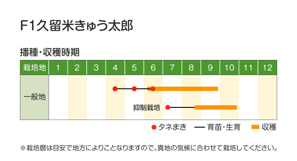 久留米きゅう太郎・作型