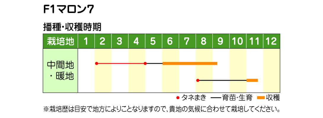 F1マロン7