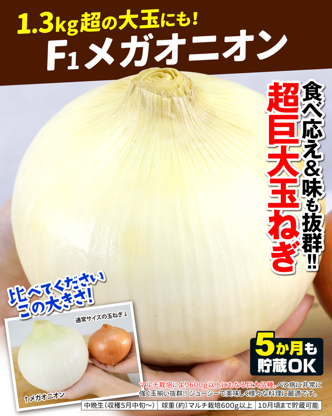 メガオニオン・メイン