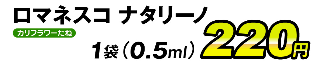 ナタリーノ0.5ml・価格