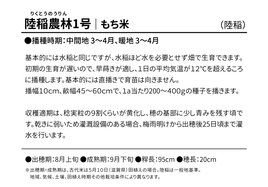 陸稲農林1号・紹介