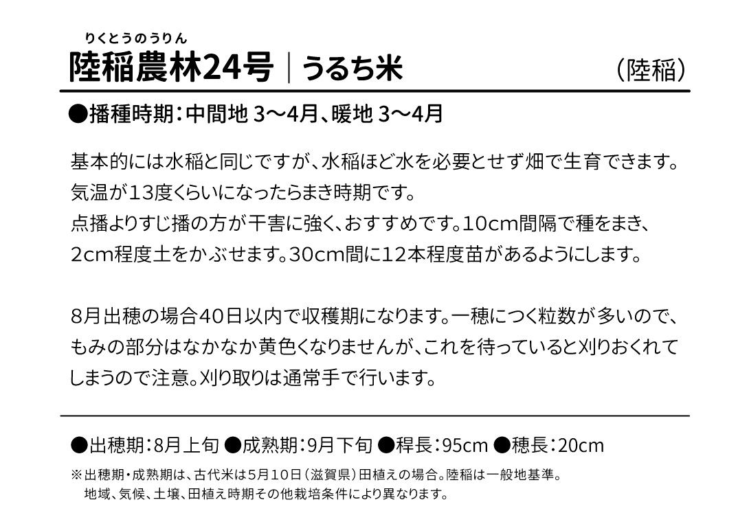 陸稲農林24号・紹介