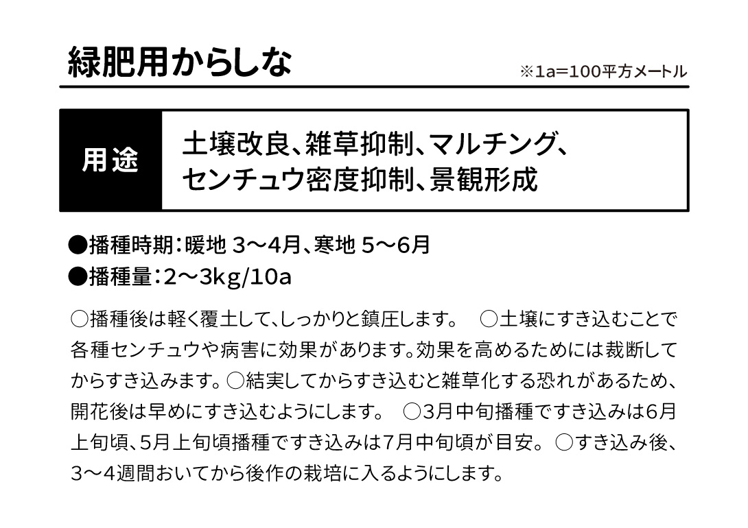 緑肥用からしな・紹介