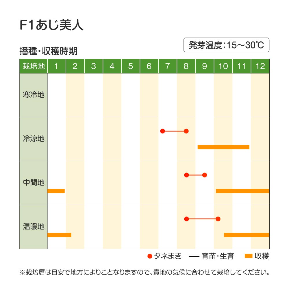 あじ美人・作型