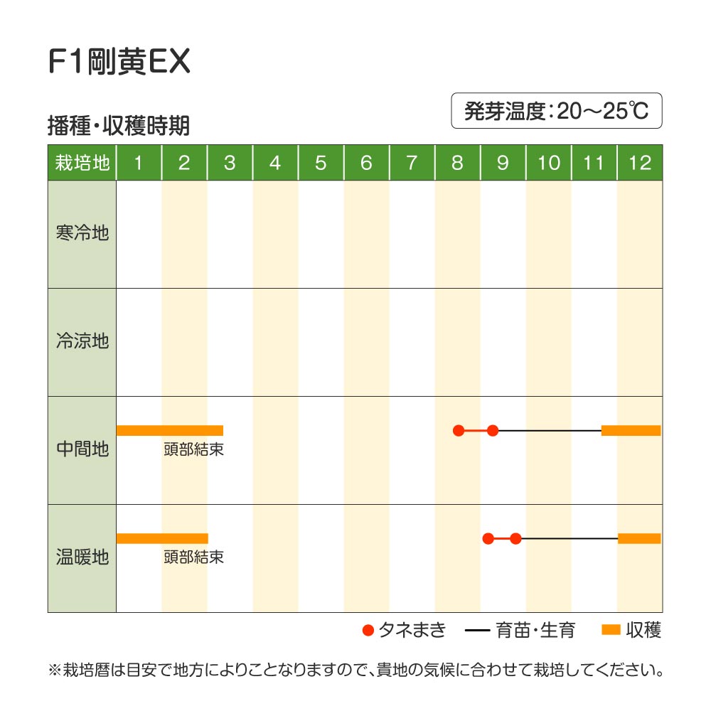 剛黄EX・作型